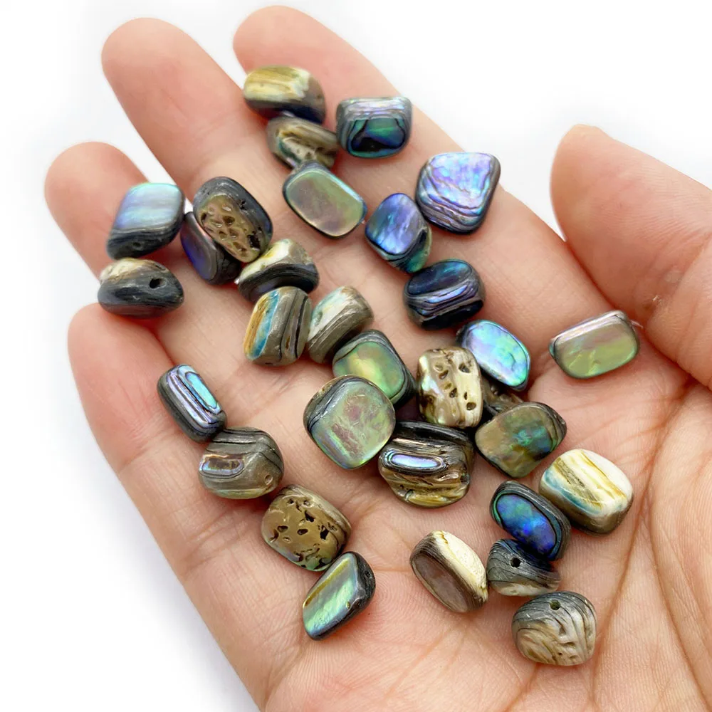 2pcs/bag Irregular Beads Natural Abalone Shell Jewelry Making Charm DIY Creative Pendant Necklace Accessories Supplies Gift
2pcs/bag Irregular Beads Natural Abalone Shell Jewelry Making Charm DIY Creative Pendant Necklace Accessories Supplies Gift