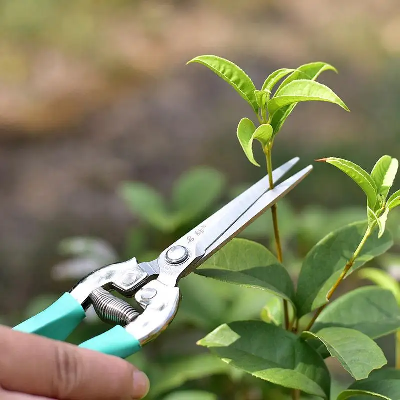 Professional 2sizes Fashion Plant Garden Gardening Tool Pruning Shears Bent Portable Fruit Picking Scissors 
Professional 2sizes Fashion Plant Garden Gardening Tool Pruning Shears Bent Portable Fruit Picking Scissors