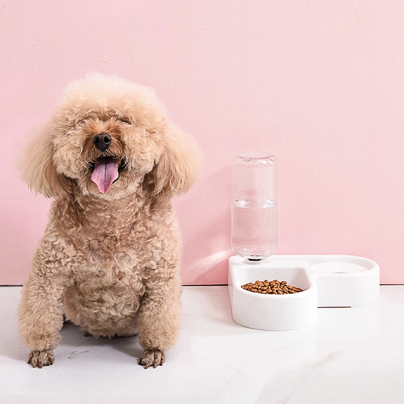 Dog Feeder Bowl New Corner Pet Bowl Dog Cat Bowl Automatic Cat Water Dispenser Pet Supplies Plastic Double Bowl Drinking Dish
Dog Feeder Bowl New Corner Pet Bowl Dog Cat Bowl Automatic Cat Water Dispenser Pet Supplies Plastic Double Bowl Drinking Dish