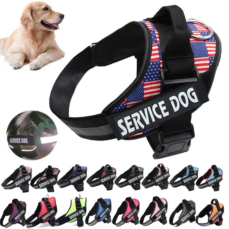 Adjustable Nylon Dog Harness Reflective Dog Collar Personalized Dogs Harness and Leash Set Dogs Vest
Adjustable Nylon Dog Harness Reflective Dog Collar Personalized Dogs Harness and Leash Set Dogs Vest