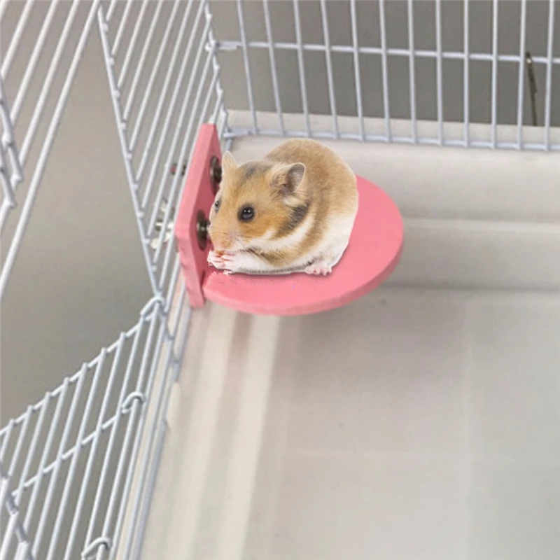 1pc Small Pet Hamster Platform Bracket Rack Toy Colorful Ecological Board Supplies Round Squirrel Cage Accessories Hot Sale 
1pc Small Pet Hamster Platform Bracket Rack Toy Colorful Ecological Board Supplies Round Squirrel Cage Accessories Hot Sale