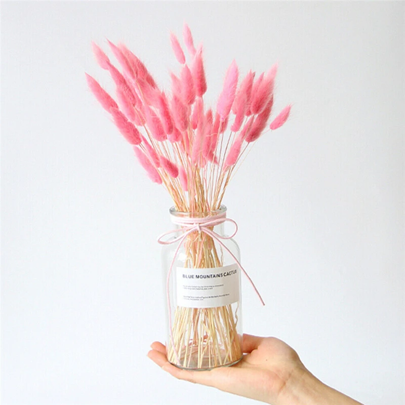 20PC Dried Flower Bunny Tail Grass Bunch Real Bouquet For Photography Props Flores Diy Home Wedding Decor
20PC Dried Flower Bunny Tail Grass Bunch Real Bouquet For Photography Props Flores Diy Home Wedding Decor