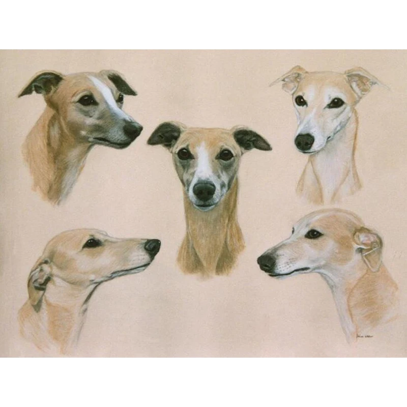 Whippet 5D DIY Алмазная картина полное квадратное изображение горного хрусталя 3D Алмазная вышивка распродажа мозаика домашний Декор оптовая про...
Whippet 5D DIY Алмазная картина полное квадратное изображение горного хрусталя 3D Алмазная вышивка распродажа мозаика домашний Декор оптовая про...