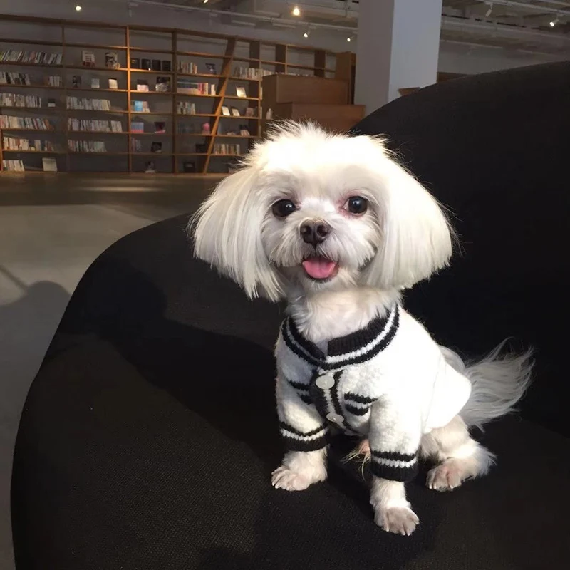 Cute Puppy Dog Clothing White Mohair Cardigan Sweater Coats For Small Medium Dog Pet Clothes Chihuahua Poodle Outfits Sweaters
Cute Puppy Dog Clothing White Mohair Cardigan Sweater Coats For Small Medium Dog Pet Clothes Chihuahua Poodle Outfits Sweaters