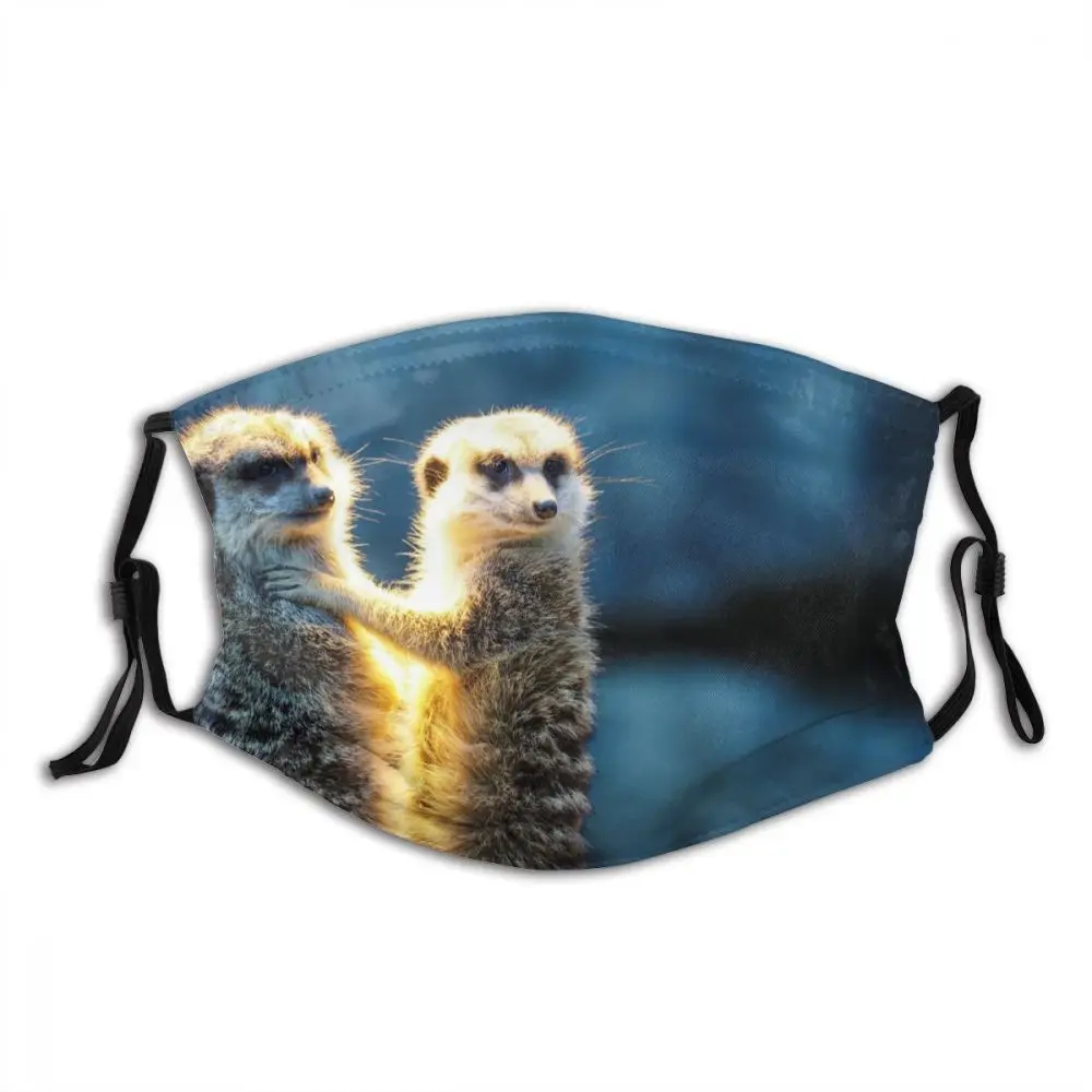 Meerkat животное многоразовые Мода рот маска для лица с фильтрами против ветра пыли Высококачественный защитный чехол для Для мужчин Для женщи...
Meerkat животное многоразовые Мода рот маска для лица с фильтрами против ветра пыли Высококачественный защитный чехол для Для мужчин Для женщи...