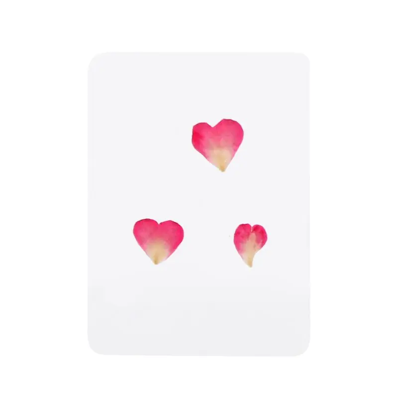 Mix Pressed Flower Leaves Plant Specimen Fillers for Epoxy Resin Jewelry Making
Mix Pressed Flower Leaves Plant Specimen Fillers for Epoxy Resin Jewelry Making