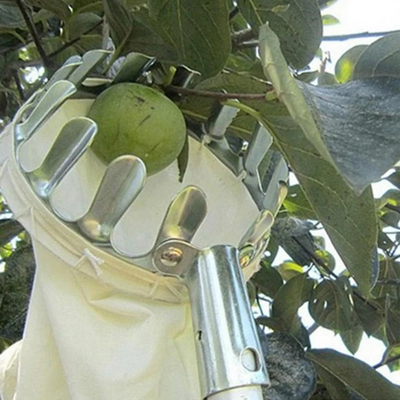 Garden tools Deep Basket Fruit Picker Head Convenient Fruit Picker Catcher Apple Peach Picking Farm Garden Picking Device
Garden tools Deep Basket Fruit Picker Head Convenient Fruit Picker Catcher Apple Peach Picking Farm Garden Picking Device