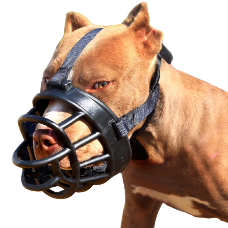 Dog Training Adjustable Compression Anti-Bite Silicone Dog Mouth Mask Pet Supplies Soft Plastic Material Non-Toxic and Tasteless
Dog Training Adjustable Compression Anti-Bite Silicone Dog Mouth Mask Pet Supplies Soft Plastic Material Non-Toxic and Tasteless