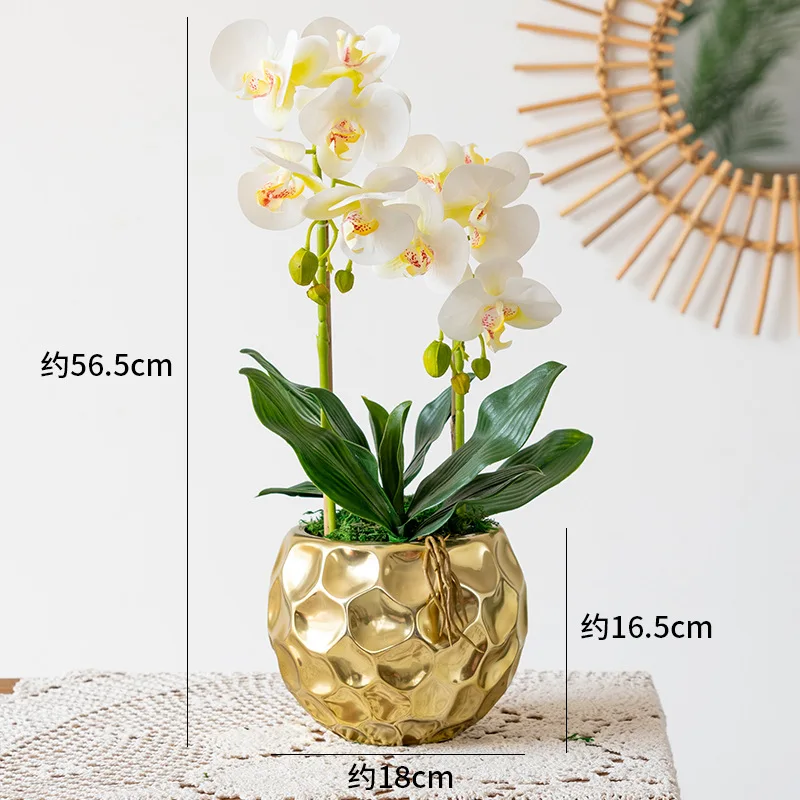 American indoor simulation flowerpot scenery Pu hand feeling flower atmosphere decoration artificial flower light luxury
American indoor simulation flowerpot scenery Pu hand feeling flower atmosphere decoration artificial flower light luxury