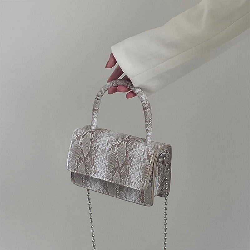 Retro Serpentine Small Square Bag 2021 Spring Trendy Chain Shoulder Bag Designer Handbag Luxury Leather Crossbody Bags For Women
Retro Serpentine Small Square Bag 2021 Spring Trendy Chain Shoulder Bag Designer Handbag Luxury Leather Crossbody Bags For Women