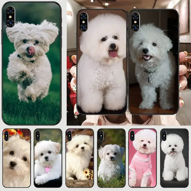 Bichon frise dog puppy Phone Case For Black-Iphone 5 5s se 6 6s 7 8 11 12 X Xs Xr Pro Plus Max Mini Cover
Bichon frise dog puppy Phone Case For Black-Iphone 5 5s se 6 6s 7 8 11 12 X Xs Xr Pro Plus Max Mini Cover