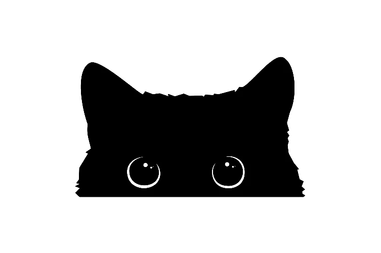 Hot Car Sticker Accessories Poor Cat Is Stealing with Big Eyes Watch Vinyl Car Styling Cover Waterproof PVC 15cm X 9cm
Hot Car Sticker Accessories Poor Cat Is Stealing with Big Eyes Watch Vinyl Car Styling Cover Waterproof PVC 15cm X 9cm