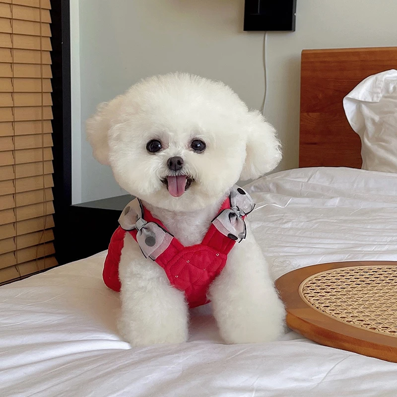 Одежда для чихуахуа, зимнее платье для маленьких собак, костюм принцессы с юбкой, одежда для йоркширского терьера, померанского шиха, Tzu, мал...
Одежда для чихуахуа, зимнее платье для маленьких собак, костюм принцессы с юбкой, одежда для йоркширского терьера, померанского шиха, Tzu, мал...