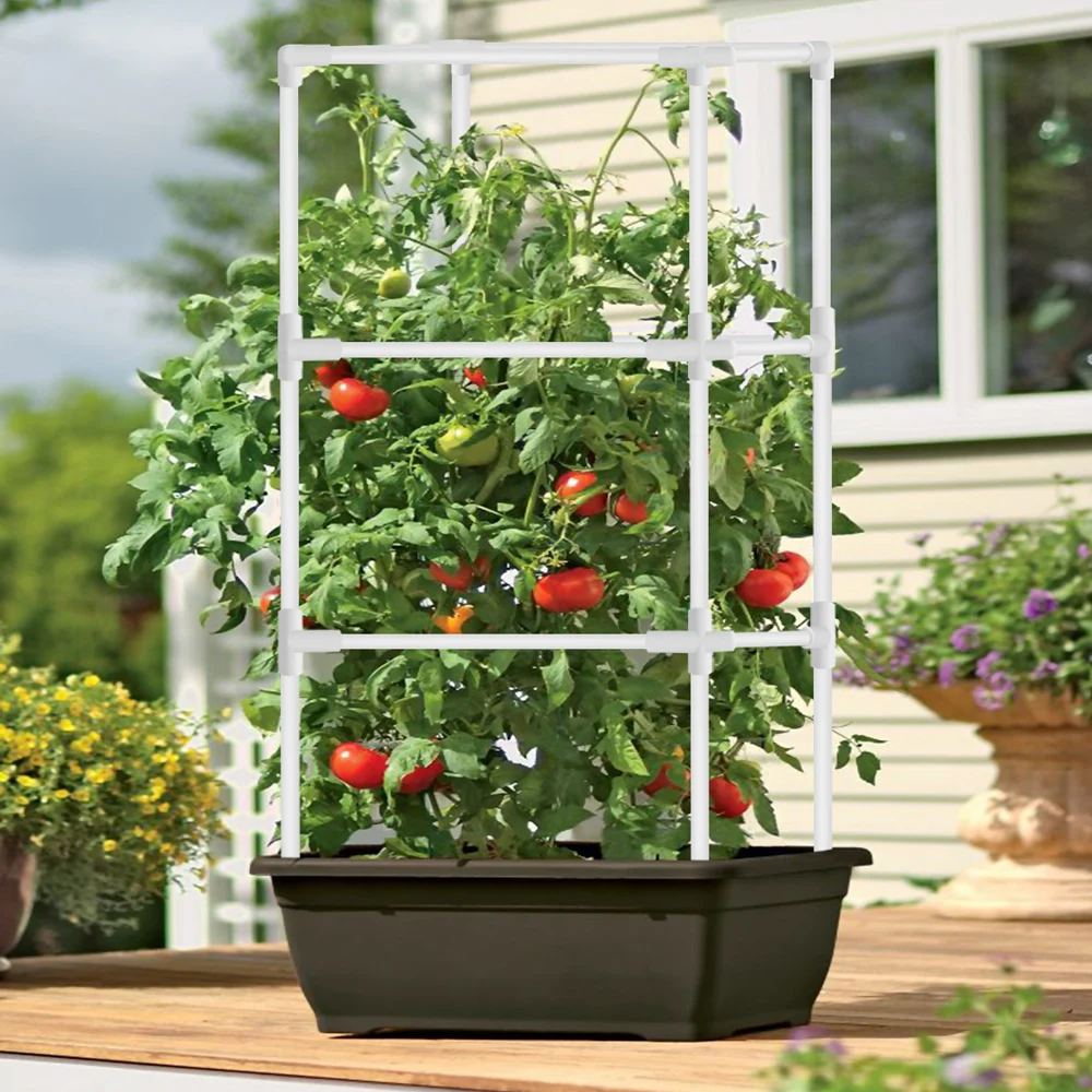 Cane Vines Plant Support Tomato Cage Vegetable Trellis Self-Assembly Multifunctional Plant Cage for Climbing Plants xqmg New Hot
Cane Vines Plant Support Tomato Cage Vegetable Trellis Self-Assembly Multifunctional Plant Cage for Climbing Plants xqmg New Hot