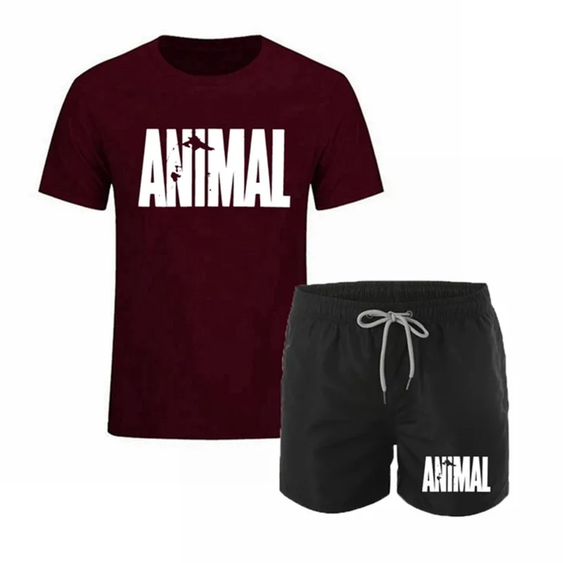 Summer Men's Sportswear Brand Suit Tracksuit Sportswear Casual Wear Men Suit T-shirt +Sports Shorts Quick dry Two-piece
Summer Men's Sportswear Brand Suit Tracksuit Sportswear Casual Wear Men Suit T-shirt +Sports Shorts Quick dry Two-piece