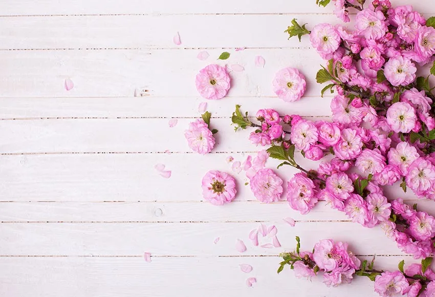 Vinyl Photography Backdrops wood flowers children wedding Party Photo Background Fotografia Studio Props
Vinyl Photography Backdrops wood flowers children wedding Party Photo Background Fotografia Studio Props