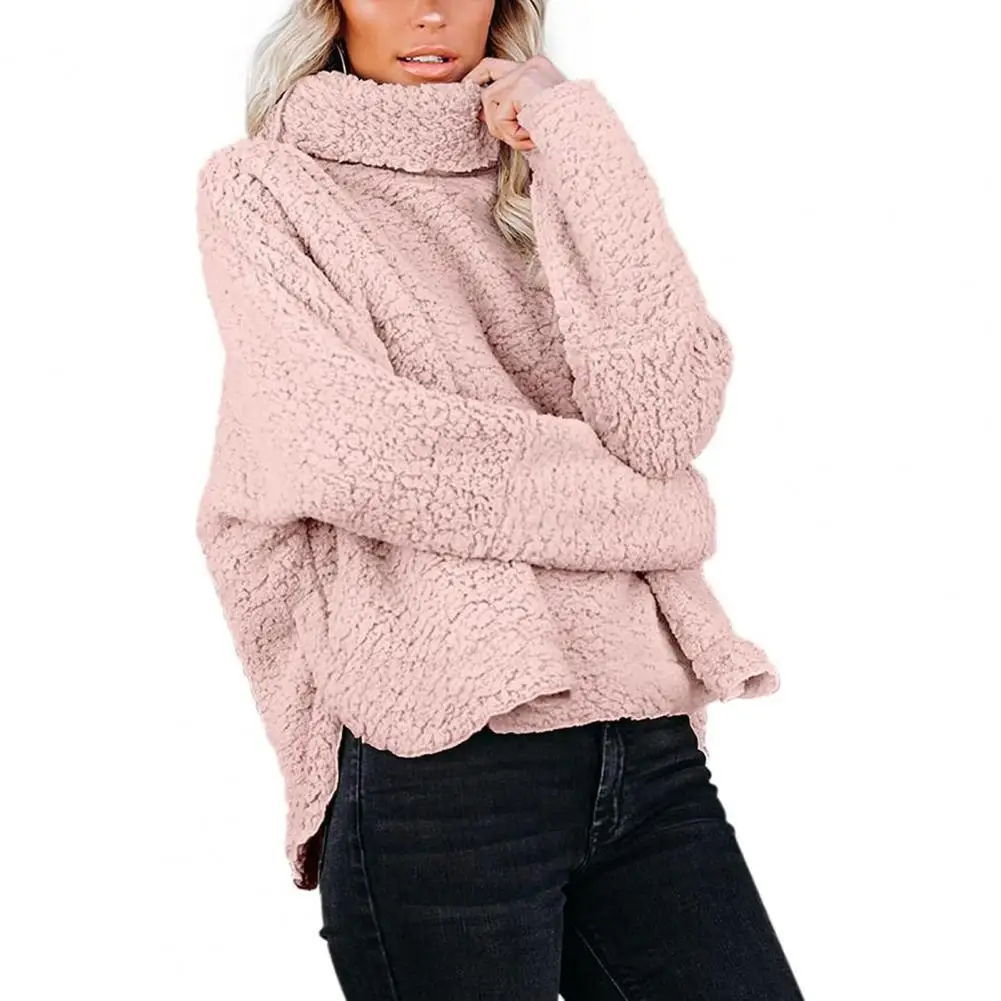 Turtleneck Solid Color Fleece Pullover Double Sided Velvet Long Sleeve Short Pullover Coat Outerwear for Daily Wear
Turtleneck Solid Color Fleece Pullover Double Sided Velvet Long Sleeve Short Pullover Coat Outerwear for Daily Wear