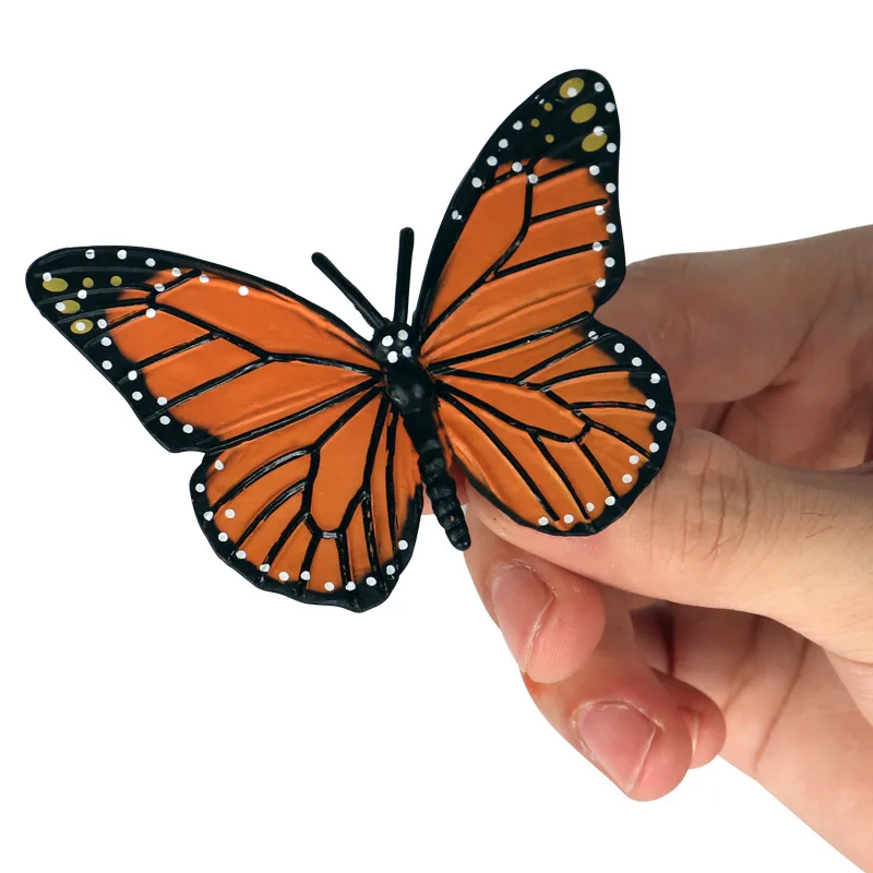 Kids Cognitive Educational Toys Simulation Animal Insect Model Mini Animal Butterfly Growth Cycle Ornaments
Kids Cognitive Educational Toys Simulation Animal Insect Model Mini Animal Butterfly Growth Cycle Ornaments