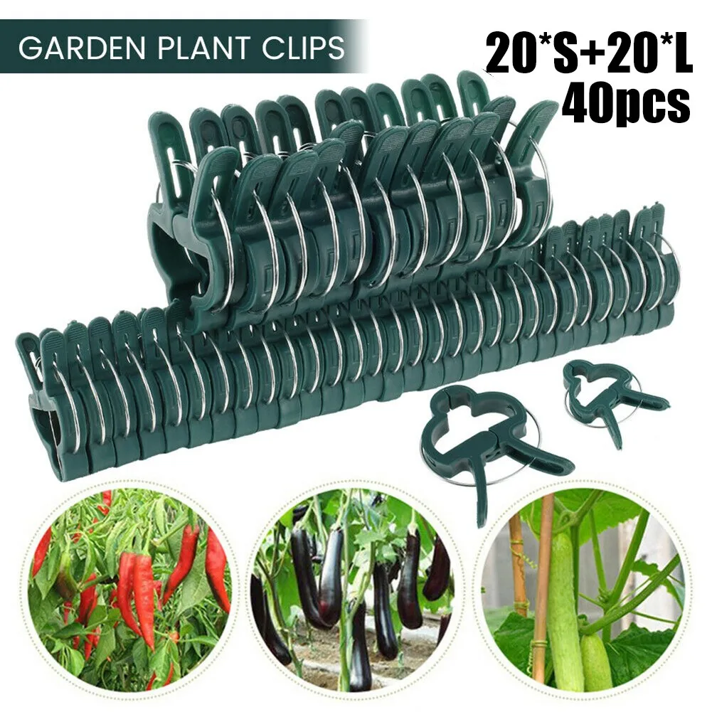 40pcs Reusable Plant Clip Garden Bracket Fixed Clip Spring Garden Planting Agricultural Supplies Wholesale
40pcs Reusable Plant Clip Garden Bracket Fixed Clip Spring Garden Planting Agricultural Supplies Wholesale