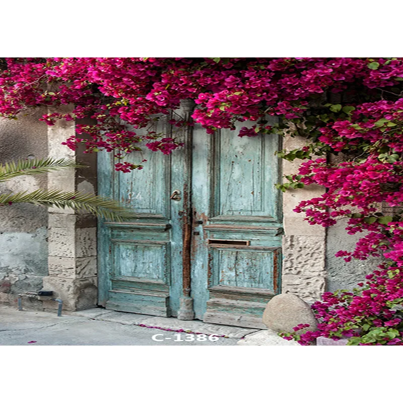 ZHISUXI Vinyl Custom Photography Backdrops Prop Classical Wooden doors Theme Photography Background GD20518 -09
ZHISUXI Vinyl Custom Photography Backdrops Prop Classical Wooden doors Theme Photography Background GD20518 -09