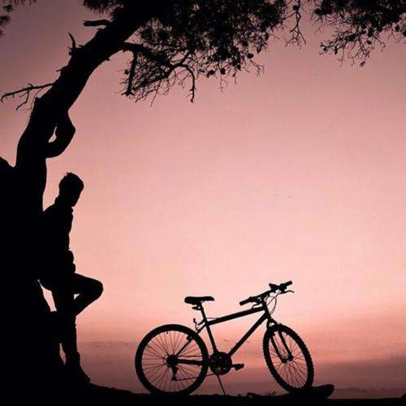 Special Link For the Product Price Difference MTB Mountain Bike Road Bicycle Parts
Special Link For the Product Price Difference MTB Mountain Bike Road Bicycle Parts