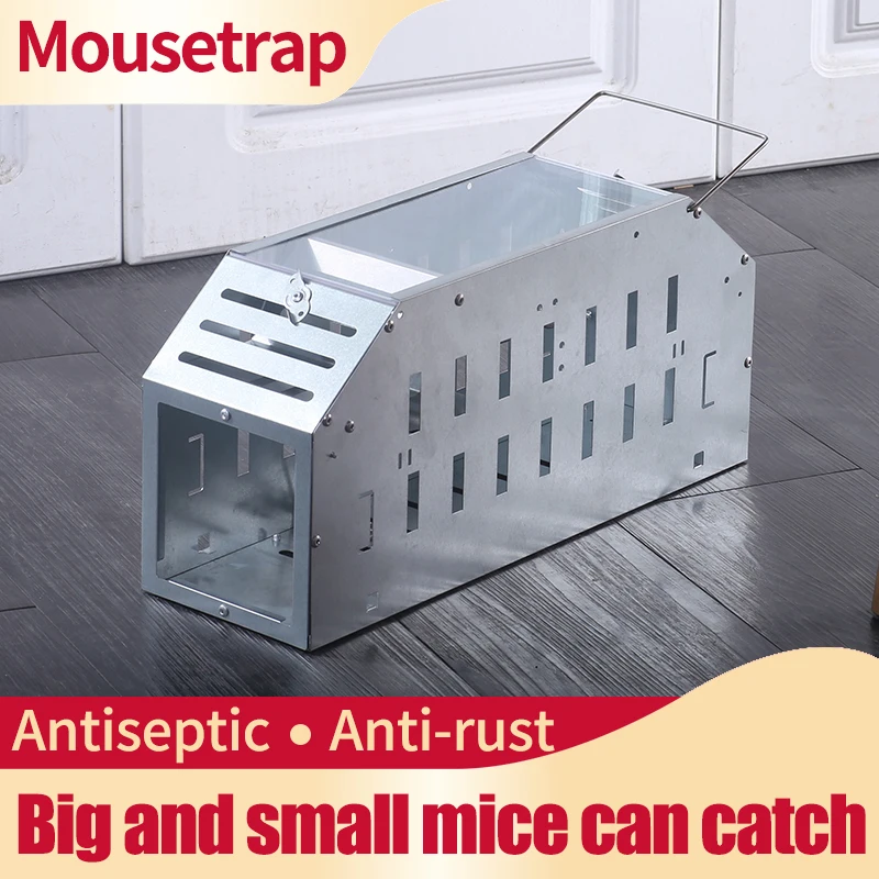 New Mousetrap Live Mouse Trap No Kill Metal Reusable Small Mousetrap Rat Trap Rodent Catcher Pest Control Tools
New Mousetrap Live Mouse Trap No Kill Metal Reusable Small Mousetrap Rat Trap Rodent Catcher Pest Control Tools