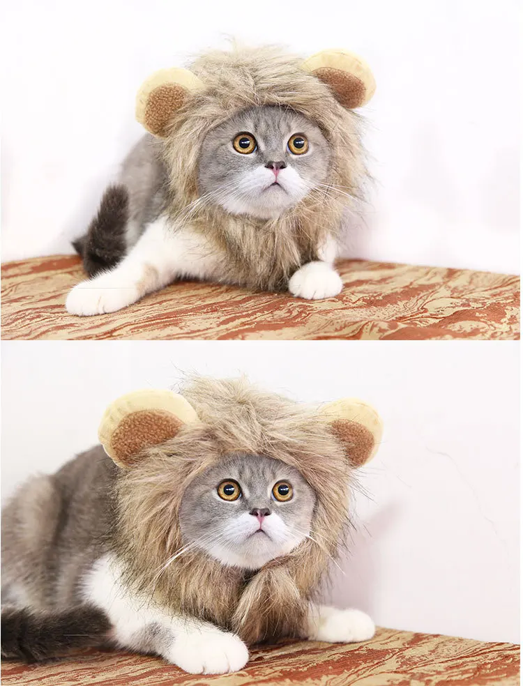 Lion turns into a pet hat for Halloween Cat Hat Velcro adjustable pet supplies autumn and winter halloween
Lion turns into a pet hat for Halloween Cat Hat Velcro adjustable pet supplies autumn and winter halloween