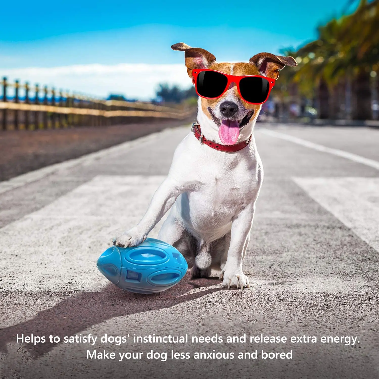 Squeaky Dog Toys for Aggressive Chewers: Rubber Puppy Chew Ball with Squeaker, Almost Indestructible and Durable Pet Toy
Squeaky Dog Toys for Aggressive Chewers: Rubber Puppy Chew Ball with Squeaker, Almost Indestructible and Durable Pet Toy