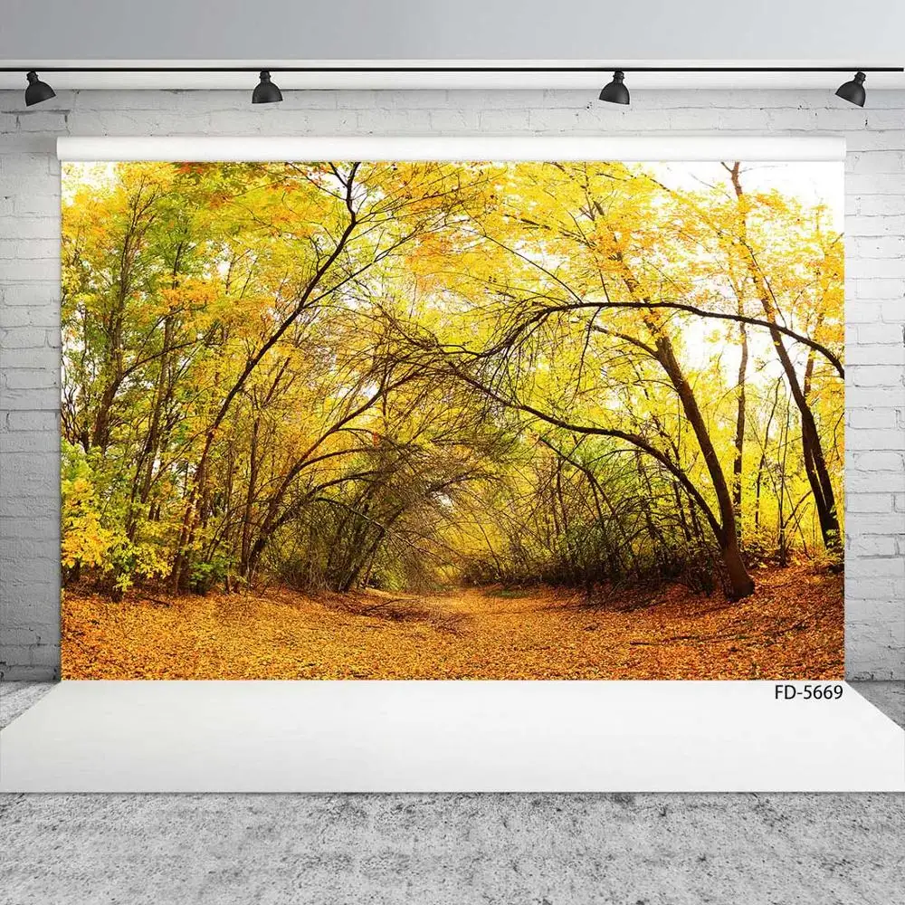 Желтый опавших листьев путь фото фон виниловый тканевый фон для фотостудии фон для фотосъемки для детские, для малышей портрет Фотокабины Подставки для фотографий
Желтый опавших листьев путь фото фон виниловый тканевый фон для фотостудии фон для фотосъемки для детские, для малышей портрет Фотокабины Подставки для фотографий