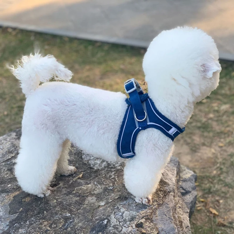 Pet Chest Adjustable Leash Set Reflective Breathable For Small Medium Dogs Vest Style Harness Walking Outdoor Accessories
Pet Chest Adjustable Leash Set Reflective Breathable For Small Medium Dogs Vest Style Harness Walking Outdoor Accessories