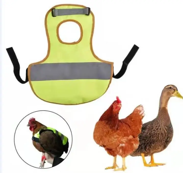 

30pcs Pet Reflective Vest Chicken Clothes Poultry Hen Saddle Apron Feather Protection Holder For Chicken And Duck SN3072