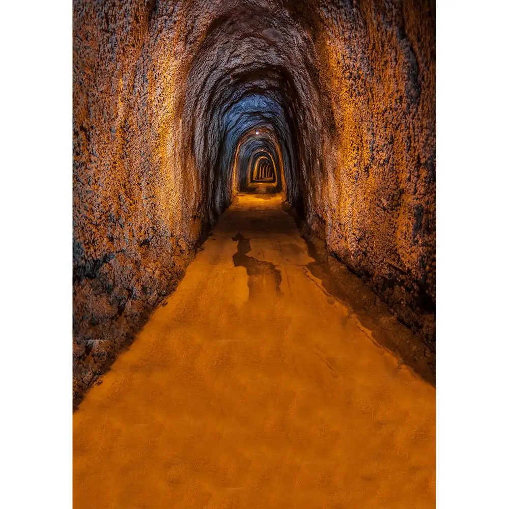 Виниловый тканевый фон для фотосъемки с изображением пещер прохода, детских портретов, домашних животных, реквизит для фотостудии 
Виниловый тканевый фон для фотосъемки с изображением пещер прохода, детских портретов, домашних животных, реквизит для фотостудии