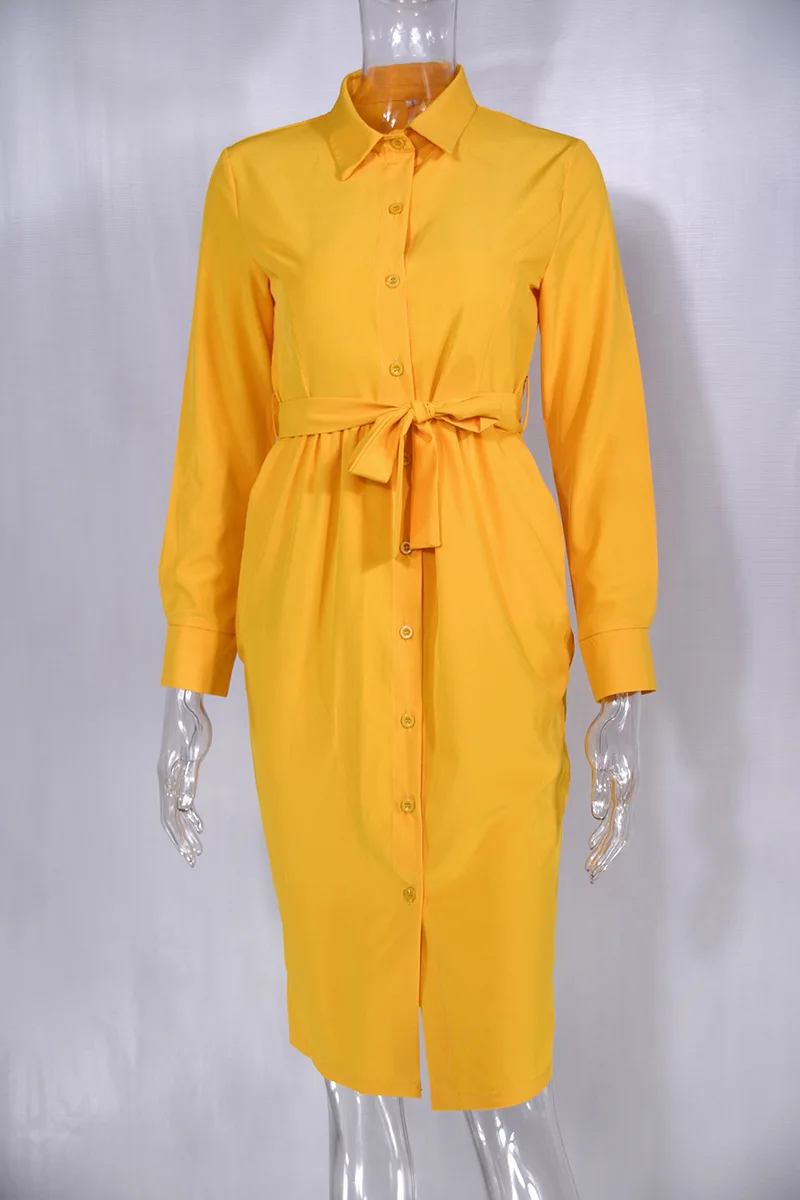 Loose Long Sleeve Shirt Dress 2021 Spring Fashion Womens Vintage Solid Color Dress OL Office Sexy Sasha Party Long Vestidos 2XL
Loose Long Sleeve Shirt Dress 2021 Spring Fashion Womens Vintage Solid Color Dress OL Office Sexy Sasha Party Long Vestidos 2XL