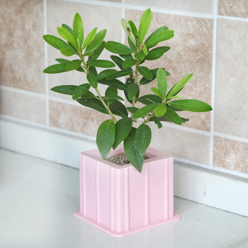 New Silicone Mold Square Concrete Fleshy Flower Pot Candlestick Mold Ceramic Clay Handmade 3D DIY Crafts Ceramic Mold
New Silicone Mold Square Concrete Fleshy Flower Pot Candlestick Mold Ceramic Clay Handmade 3D DIY Crafts Ceramic Mold