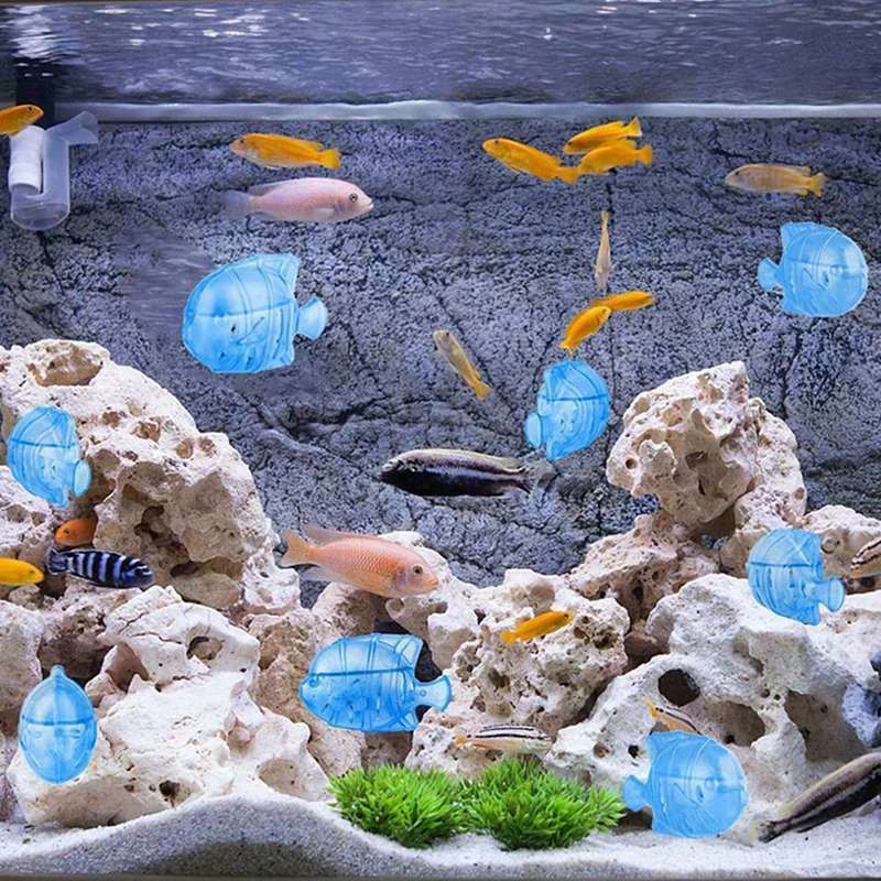 12pcs Aquarium Accessories Fish Tank Filter Accessories Aquarium Cleaning Tools Universal Humidifier Tank Cleaner Water Filter
12pcs Aquarium Accessories Fish Tank Filter Accessories Aquarium Cleaning Tools Universal Humidifier Tank Cleaner Water Filter