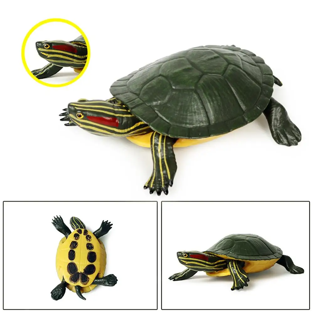 5.5inch Brazilian Red-Eared Slider Turtle Tortoise Animal Toy Action PVC Figure 14cm Turtle Children's Educational Toys Gifts
5.5inch Brazilian Red-Eared Slider Turtle Tortoise Animal Toy Action PVC Figure 14cm Turtle Children's Educational Toys Gifts