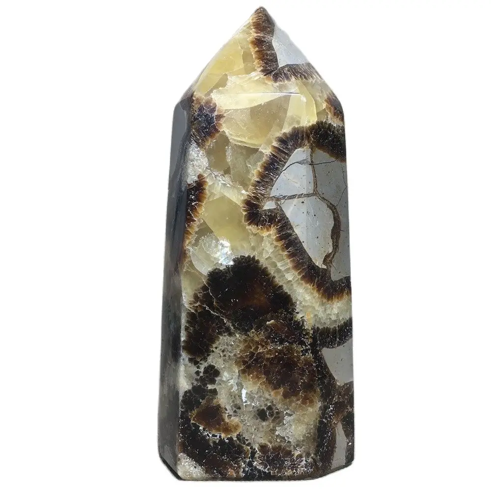 Natural Septarium Healing Point Gemstones Tower Gift Chakra Treatment Quartz Crystals Wand Ornament For Home Wedding Decoration
Natural Septarium Healing Point Gemstones Tower Gift Chakra Treatment Quartz Crystals Wand Ornament For Home Wedding Decoration