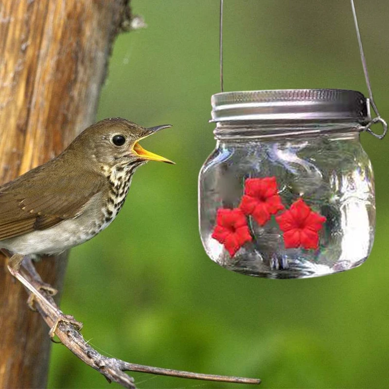 Hummingbird Feeder Clear Jar Wild Bird Feeders Hanging for Garden Yard Outside 30-Ounce with 3 Red Feeding Ports
Hummingbird Feeder Clear Jar Wild Bird Feeders Hanging for Garden Yard Outside 30-Ounce with 3 Red Feeding Ports