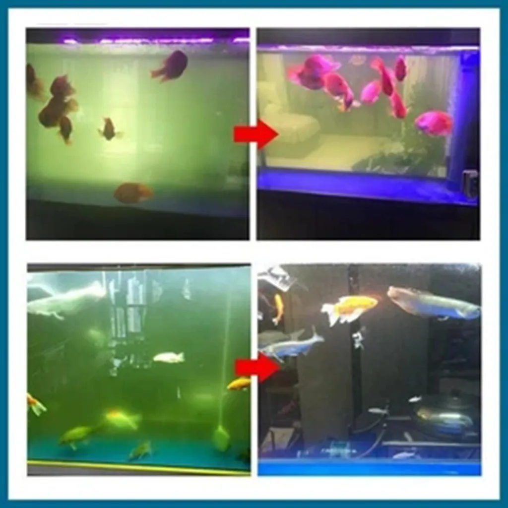 Ecological Aquarium Purification Powder Algae Remover Aquarium Moss Remover Aquarium Purification Powder Purification Powder
Ecological Aquarium Purification Powder Algae Remover Aquarium Moss Remover Aquarium Purification Powder Purification Powder
