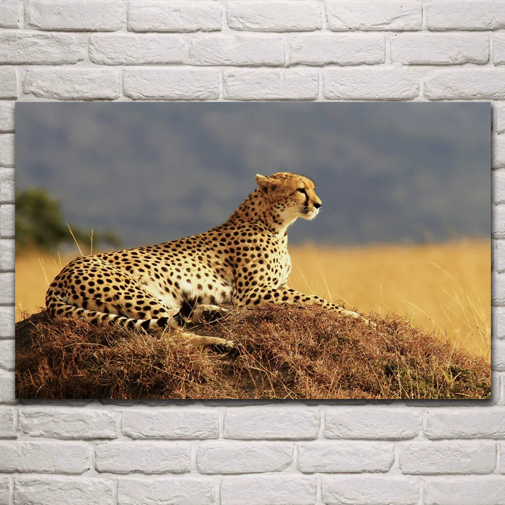 savannah wild cheetah predator looking away big cats animal fabric posters on wall picture living room home decoration art KQ591
savannah wild cheetah predator looking away big cats animal fabric posters on wall picture living room home decoration art KQ591