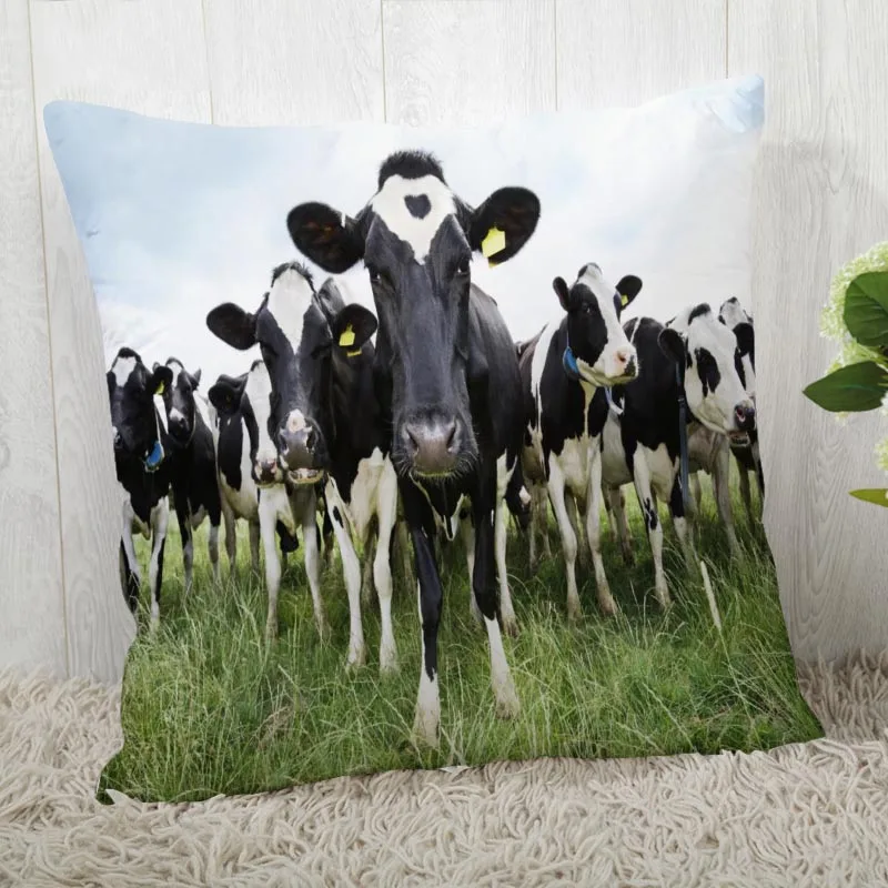 Benutzerdefinierte Kuh Tiere Kissen Fällen Platz Kissenbezug Weihnachten Reißverschluss Kissen Abdeckung 40*40cm,45*45cm (Eine S
Benutzerdefinierte Kuh Tiere Kissen Fällen Platz Kissenbezug Weihnachten Reißverschluss Kissen Abdeckung 40*40cm,45*45cm (Eine S