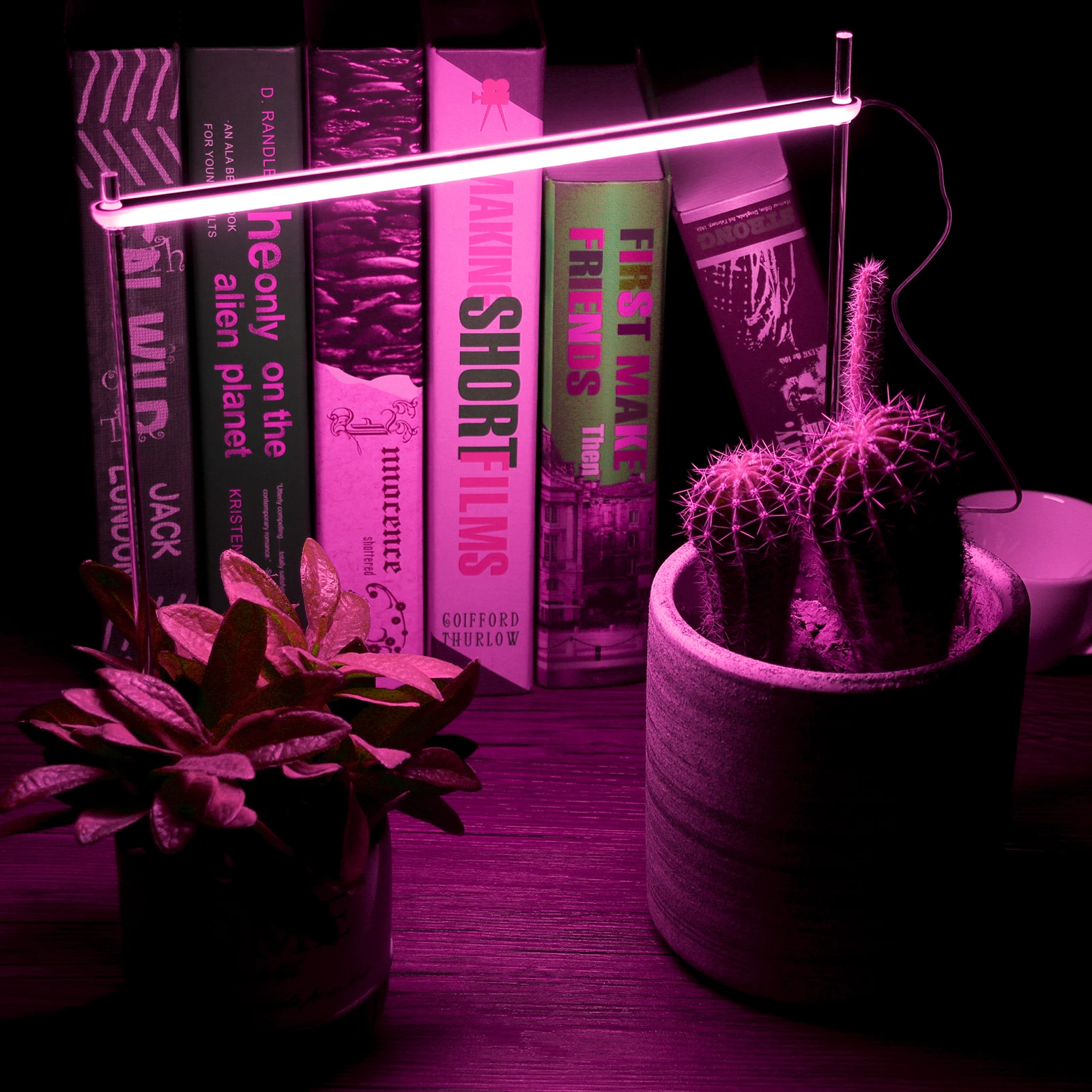 Lamp Plant Grow Light LED Full Specialty Lighting Fleshy Indoor ABS Growth Adjustable Brightness Color IP53 5V Household Lantern
Lamp Plant Grow Light LED Full Specialty Lighting Fleshy Indoor ABS Growth Adjustable Brightness Color IP53 5V Household Lantern