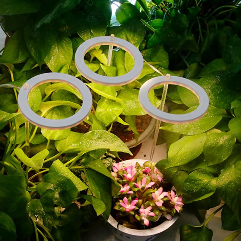 LED Grow Light Angel Four Ring DC5V USB Full Spectrum Led Phytolamp Plants Lamp For Indoor Plant Seedlings Home Flower Succulent
LED Grow Light Angel Four Ring DC5V USB Full Spectrum Led Phytolamp Plants Lamp For Indoor Plant Seedlings Home Flower Succulent