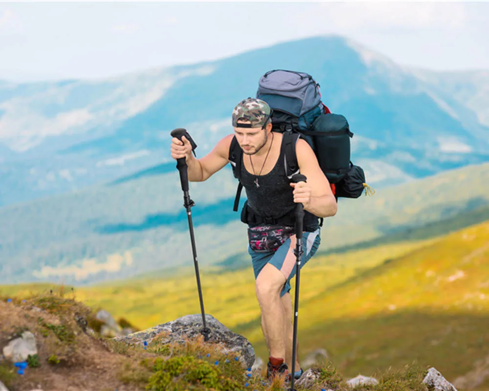 Zenph Hiking Carbon Fiber Trekking Pole 5 Sections Folding Telescopic Walking Stick Outdoor Camping Equipment | Спорт и развлечения