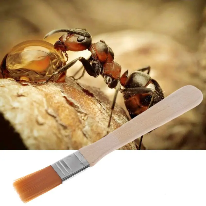 1 Pc Ant Farm Cleaner Dust Remover Sweeper Ant Area Insect Bowl Nest Clean Tool Supplies
1 Pc Ant Farm Cleaner Dust Remover Sweeper Ant Area Insect Bowl Nest Clean Tool Supplies