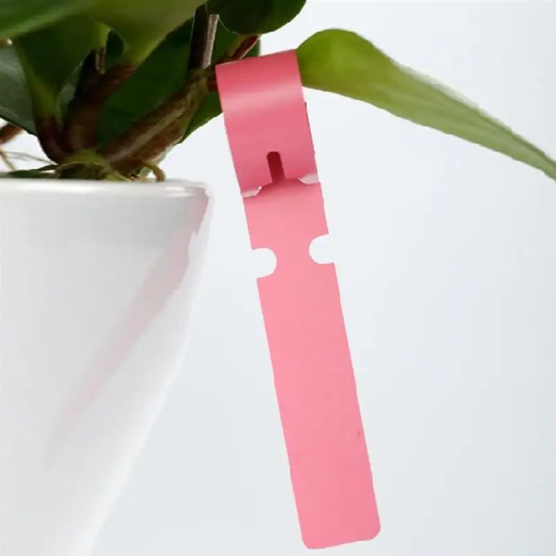 Plant Tag Plastic Nursery Garden Plant Label Flower Thick Tag Label Mark Garden Decoration Ornaments
Plant Tag Plastic Nursery Garden Plant Label Flower Thick Tag Label Mark Garden Decoration Ornaments