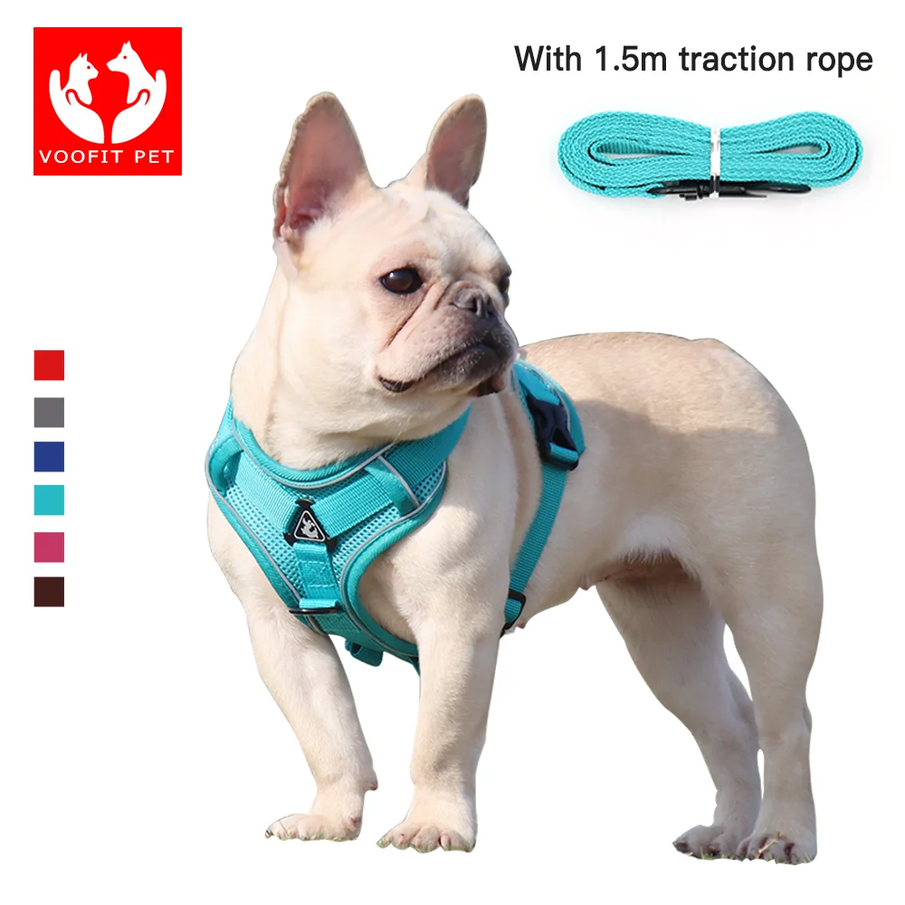Dog Harness with Leash Summer Pet Adjustable Reflective Vest Walking Lead for Puppy Polyester Mesh Harness for Small Medium Dog
Dog Harness with Leash Summer Pet Adjustable Reflective Vest Walking Lead for Puppy Polyester Mesh Harness for Small Medium Dog