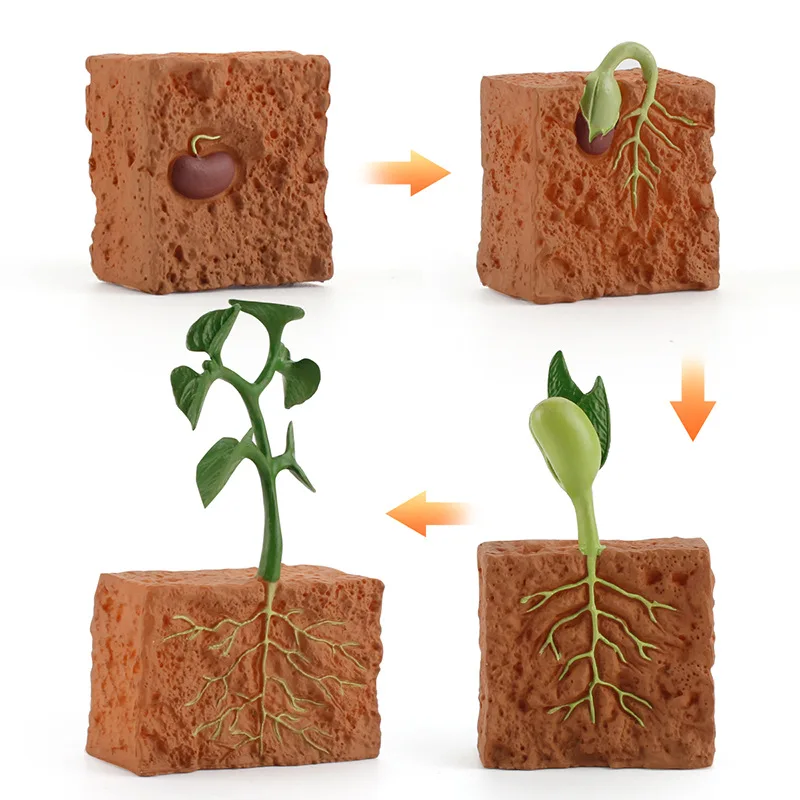 PVC Model Plant Seeds Growth Life Cycle Playset Cognitive Toys Montessori Biology Teaching Aids Cognitive Ornaments Game Toy
PVC Model Plant Seeds Growth Life Cycle Playset Cognitive Toys Montessori Biology Teaching Aids Cognitive Ornaments Game Toy