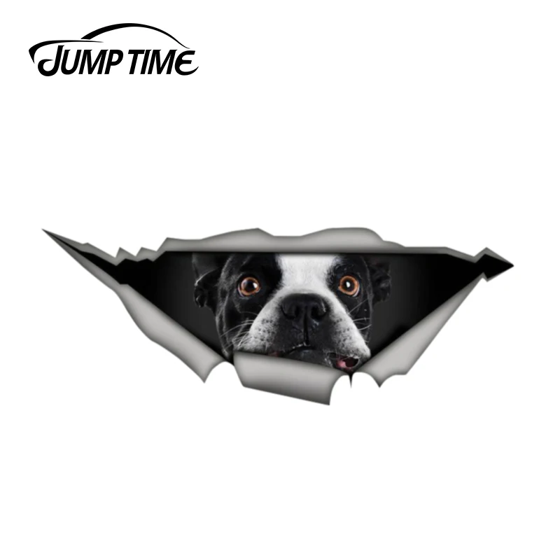 

Время скачка 13 см x 4,8 см смешная фотография милой собаки 3D Животные виниловая наклейка окно автомобиля ноутбука бампер