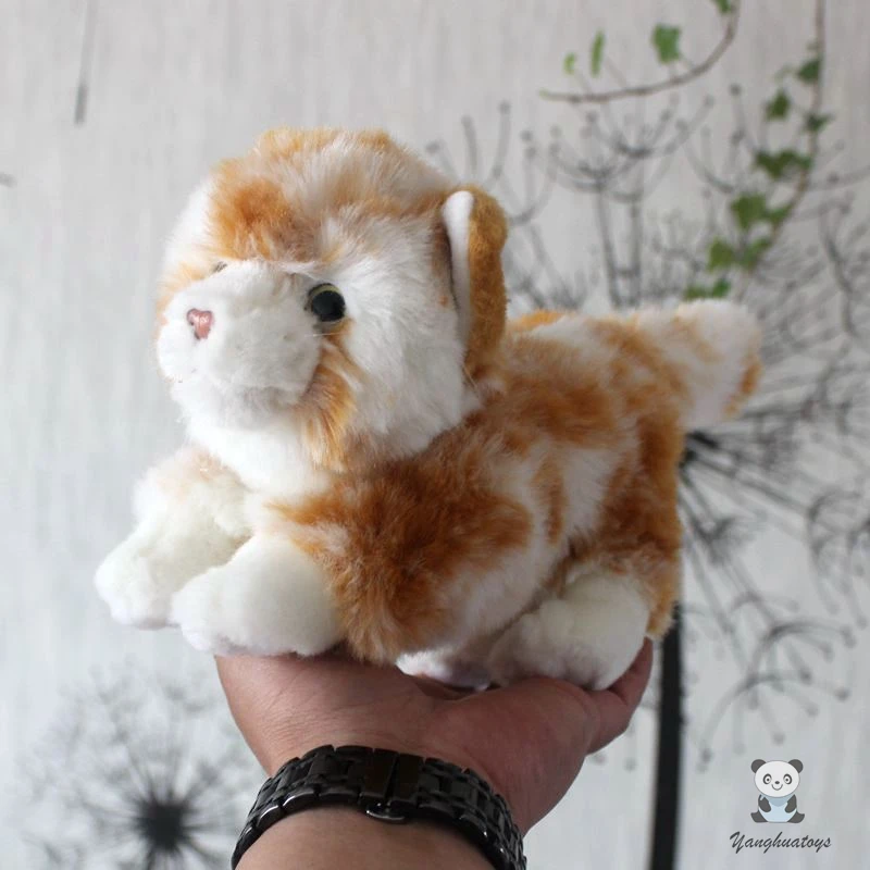 Мягкие плюшевые животные, американская коротковоздушная кукла, игрушка, милый серый Табби, модель кошек, мягкий подарок для девочек
Мягкие плюшевые животные, американская коротковоздушная кукла, игрушка, милый серый Табби, модель кошек, мягкий подарок для девочек